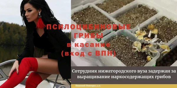 прущие крисы Навашино
