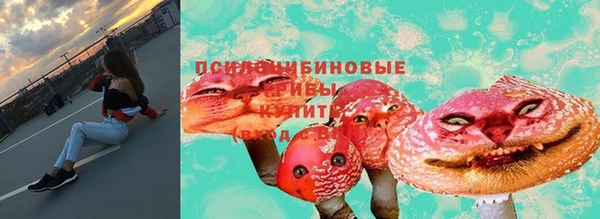 СК Надым