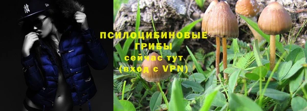 прущие крисы Навашино